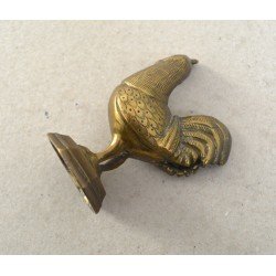 Cocos miniatura alama cca 1900