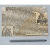 Michael Wolgemut "Geneva vedere panoramica" xilogravura 1493