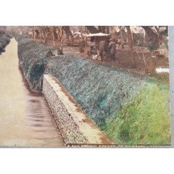 Scena de primavara la Koganei langa Tokyo fotografie colorata manual cca 1900