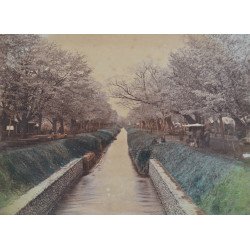 Scena de primavara la Koganei langa Tokyo fotografie colorata manual cca 1900