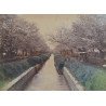 Scena de primavara la Koganei langa Tokyo fotografie colorata manual cca 1900
