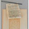 John Gerard "Capparis folio acuto" xilogravura 1597
