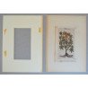 John Gerard "Ricinus" xilogravura 1597