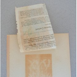 John Gerard "Cornu ceruinum" xilogravura 1597
