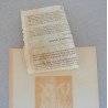 John Gerard "Cornu ceruinum" xilogravura 1597