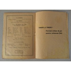 Tineretul progresist din Romania program revista muzicala