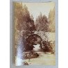 Lot 5 fotografii Elvetia cca 1900