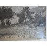 Gustave Oddoux "Dauphine - Le Mont Aiguille", Muntii Alpi fotografie originala cca 1900