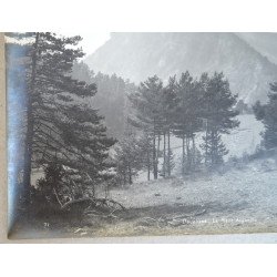 Gustave Oddoux "Dauphine - Le Mont Aiguille", Muntii Alpi fotografie originala cca 1900