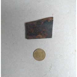 Didymograptus murchisoni graptoliti din Ordovician Tara Galilor Marea Britanie