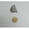 Dalmanites sp. trilobit din Silurian, Anglia