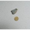 Dalmanites sp. trilobit din Silurian, Anglia