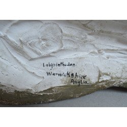 Labyrinthodon model didactic atelierul Arthur Eloffe Paris secolul XIX