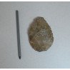 Bifacial, unealta de cuartit Paleoliticul mediu (Musterian) Libia