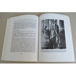 Manual on the Conservation of Paintings Archetype Publications Ltd 1997