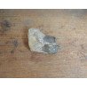 Subhyracodon occidentalis mandibula inferioara South Dakota SUA Oligocen