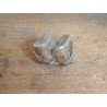 Molar de Lophiodon sp. Eocen Romania
