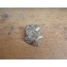 Molar de Lophiodon sp. Eocen Romania