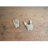 2 molari de Bovoidea Pliocen