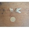 2 molari de Bovoidea Pliocen