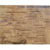 Carte poștală pe scoarță de mesteacăn, lagăr militar, 1944